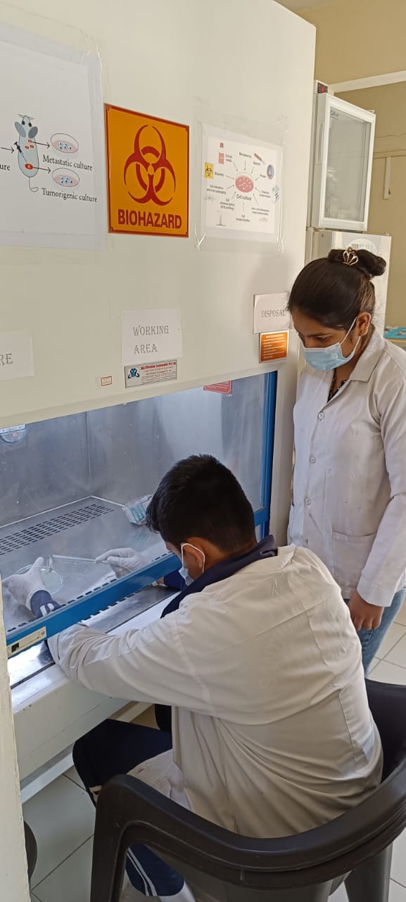 Building scientific skills: Beneficiaries engaged in a controlled laboratory environment to enhance practical knowledge.